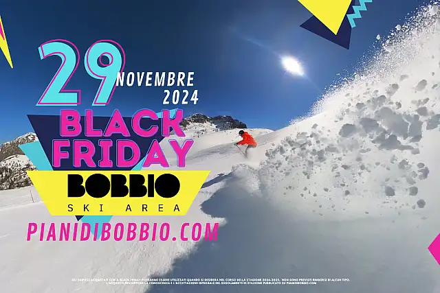 Black Friday 2024