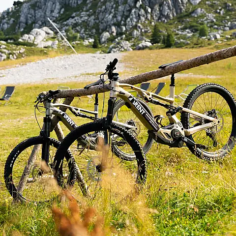 E-Bike e Noleggio B-Rent